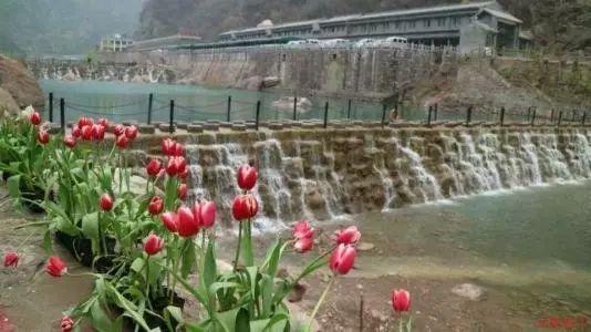 乐高天行者传奇银河版和豪华版区别游戏画面
