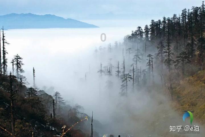 视神经萎缩，是阳不足，又是哪来的火？
