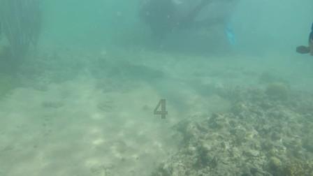 岁末年初喜意浓 防火反诈别放松