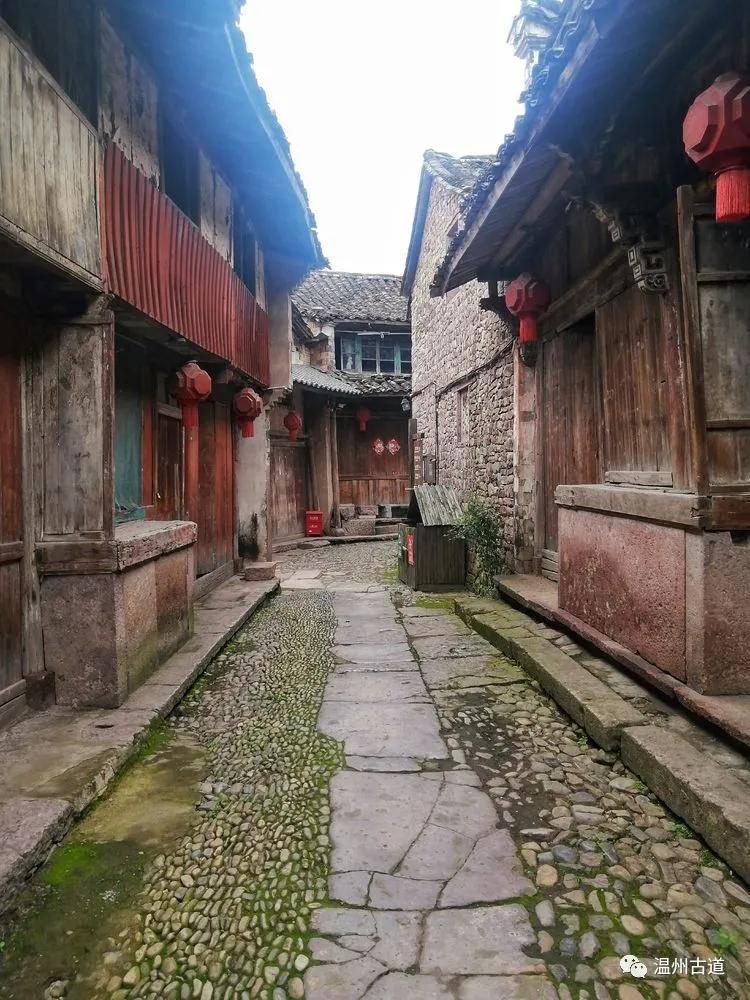 数码宝贝8