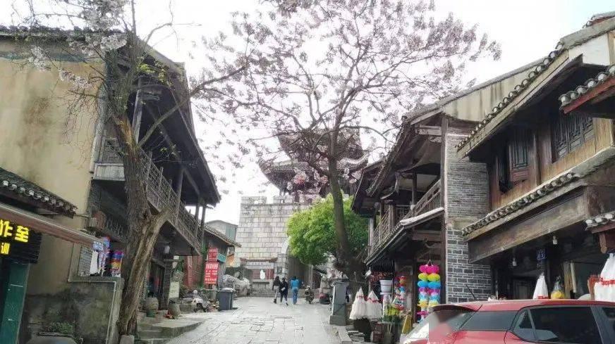 云端直播指导 田边实操服务 农业系统奋战一线  帮助农作物抵御寒潮